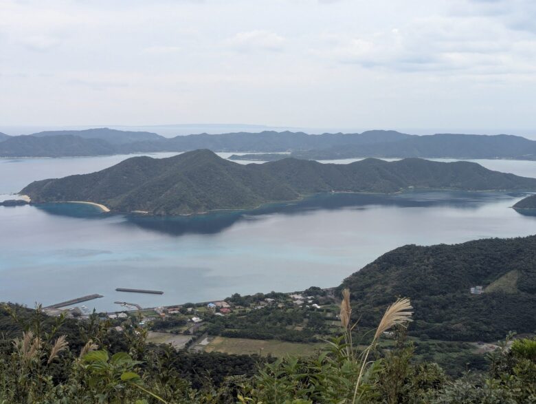 奄美自然観察の森 展望台からの景色