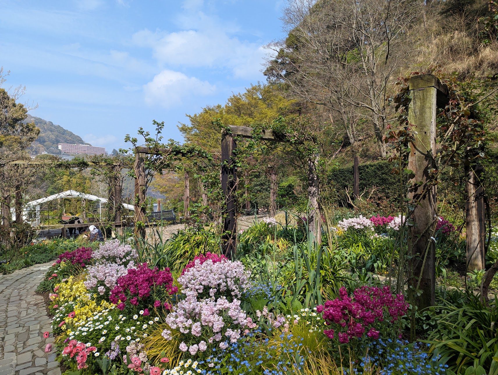 入口へ戻る道沿いにも咲いていた色とりどりの花