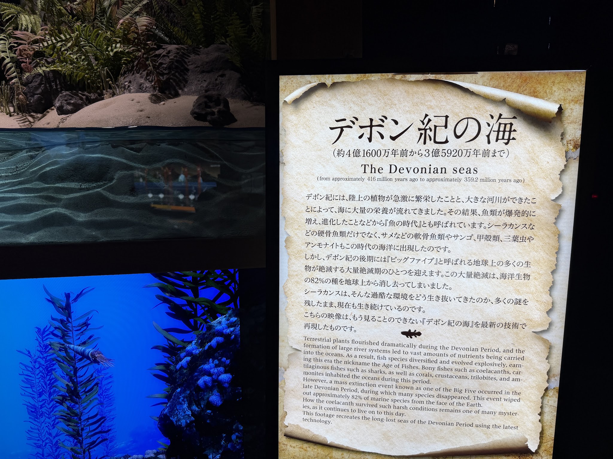 「デボン紀の海」の説明板と展示