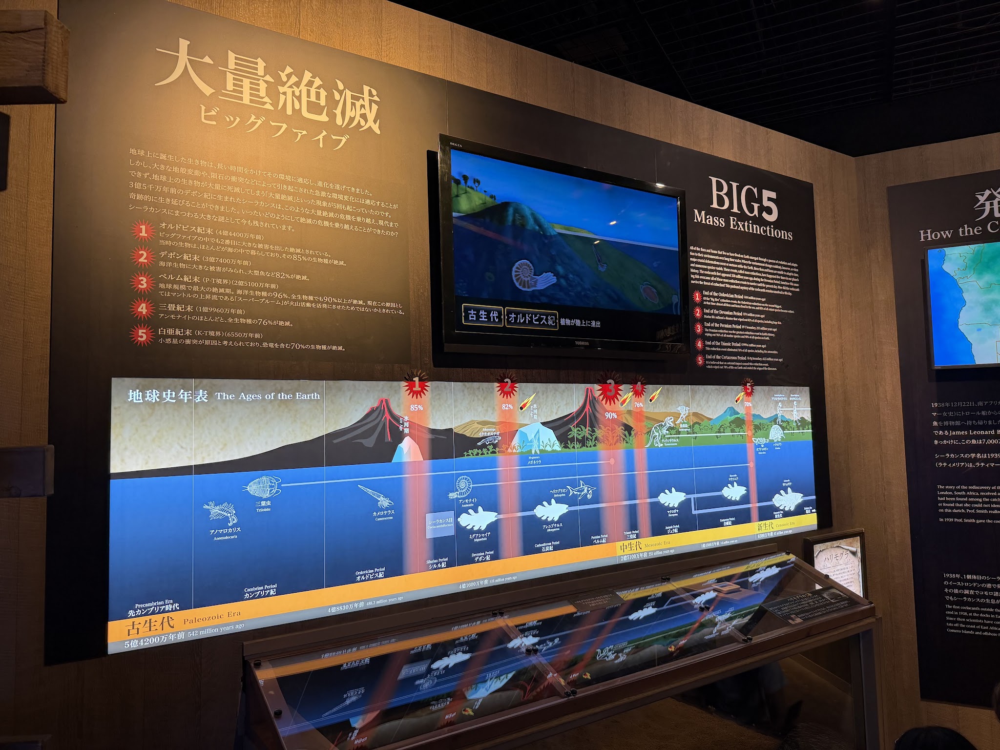 「大量絶滅」の説明板と映像展示