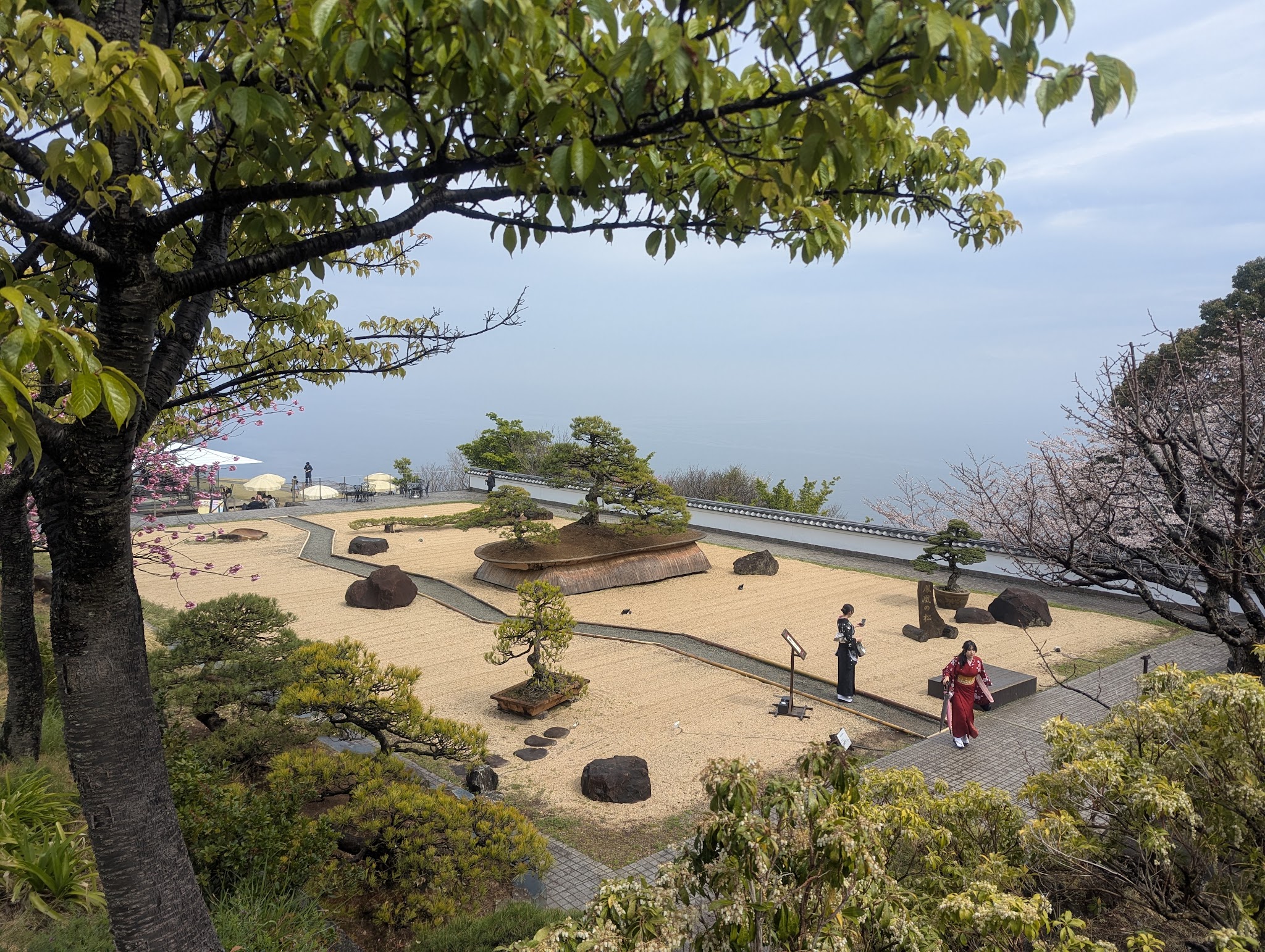 松と海を一緒に望む庭園全景