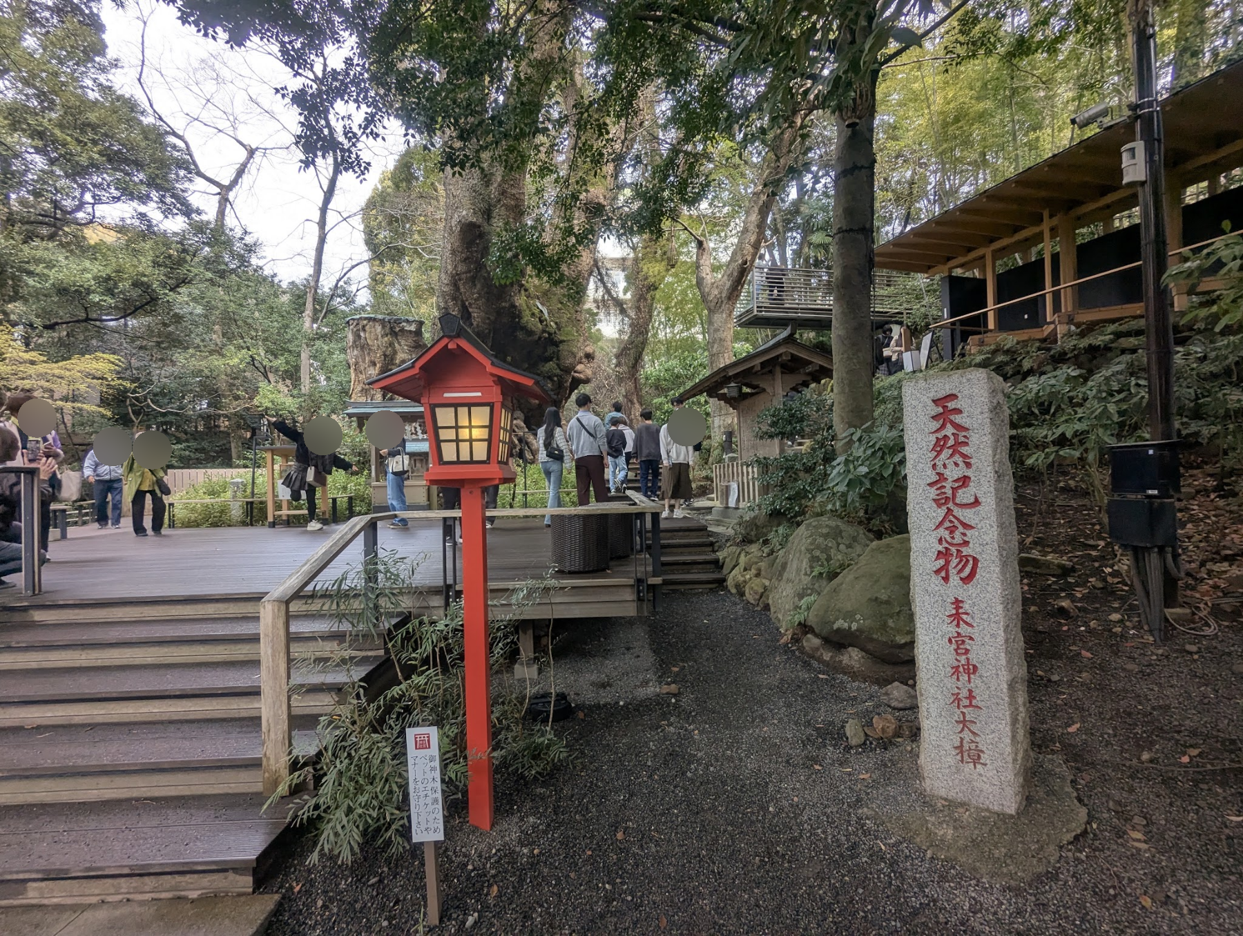 大楠のそばの木の通路と天然記念物の石碑