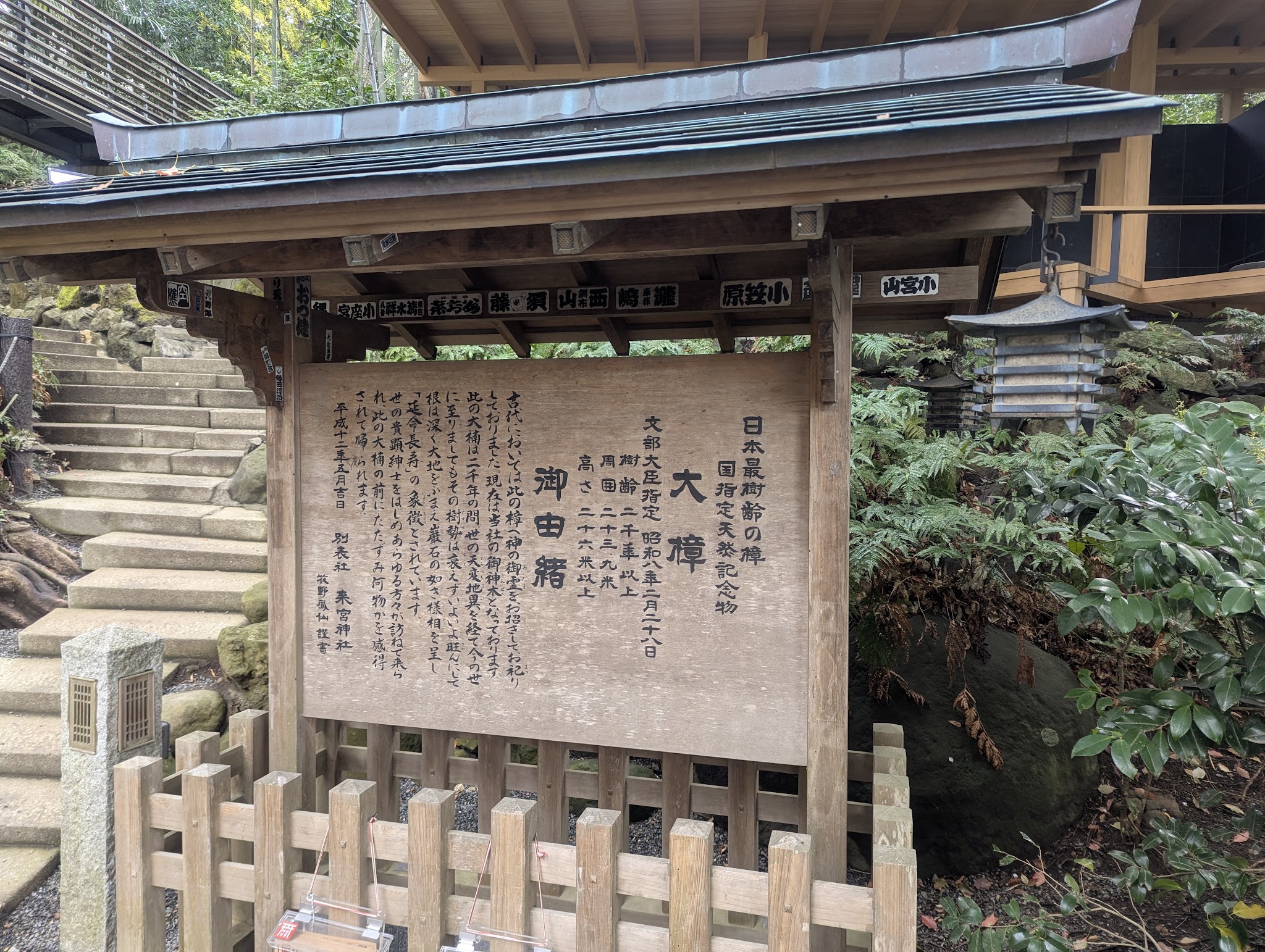 大楠の由緒を説明する境内の掲示