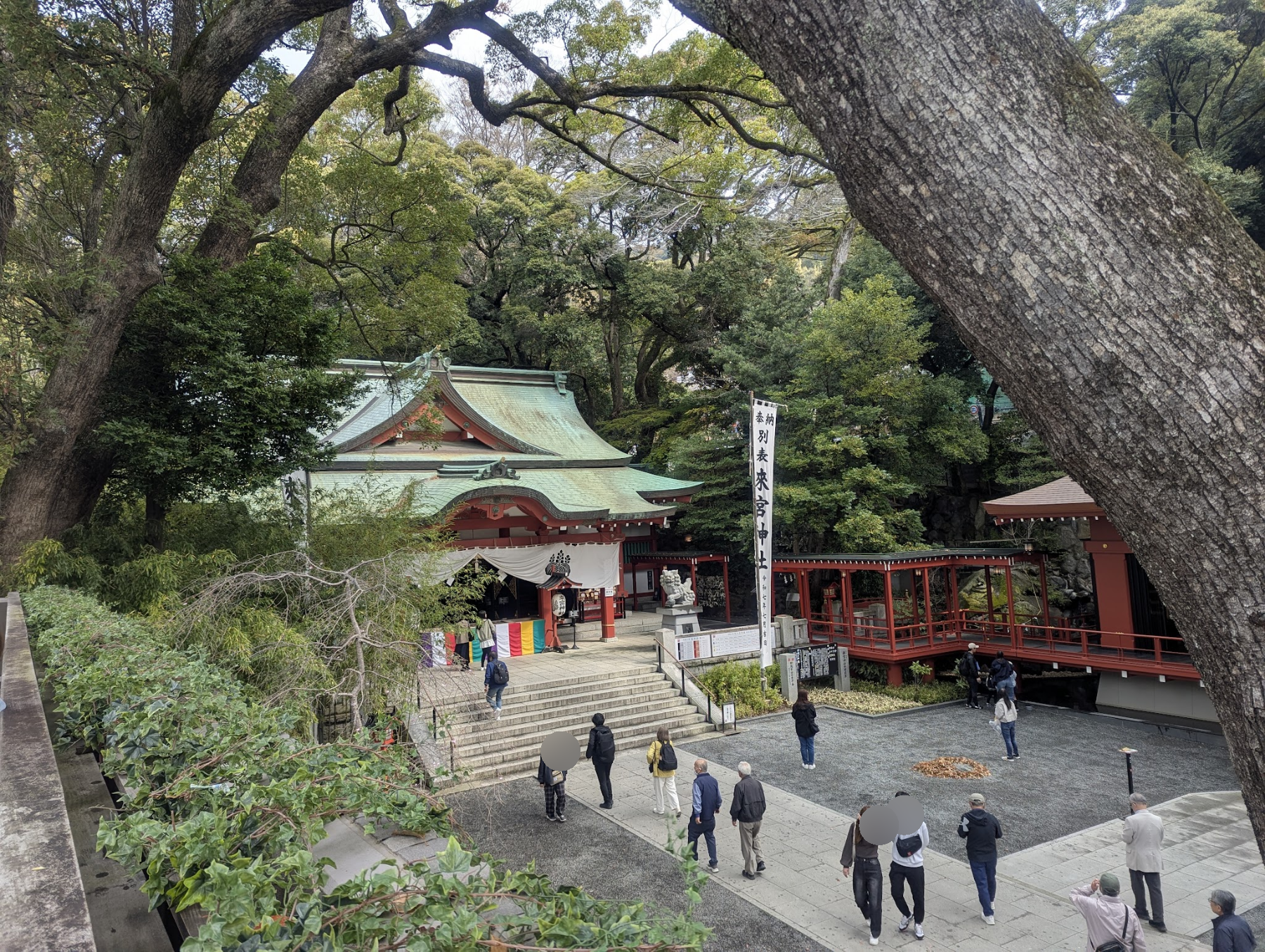 高い位置から見た社殿と境内の広場