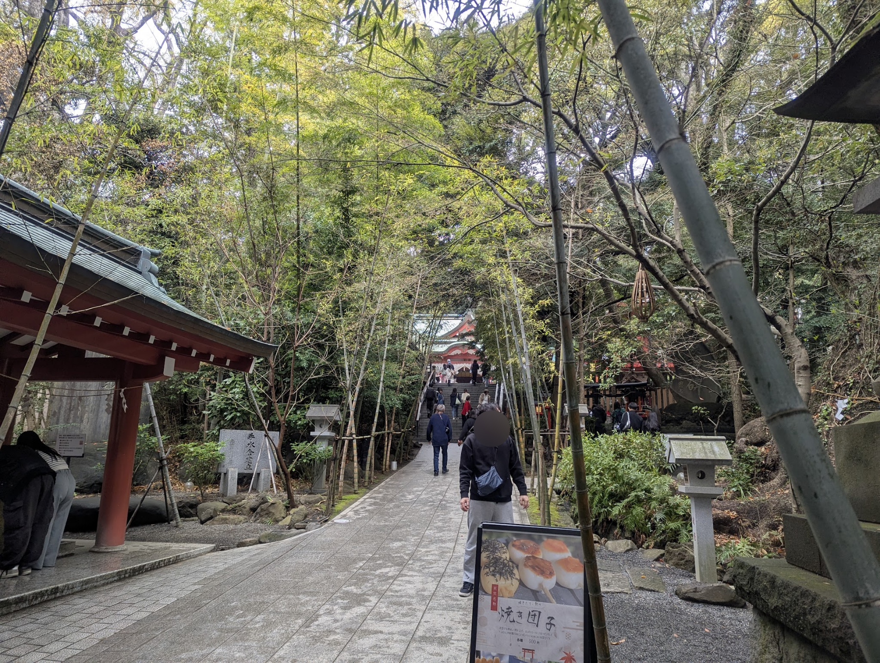 木々の間から社殿へ続く石畳の参道