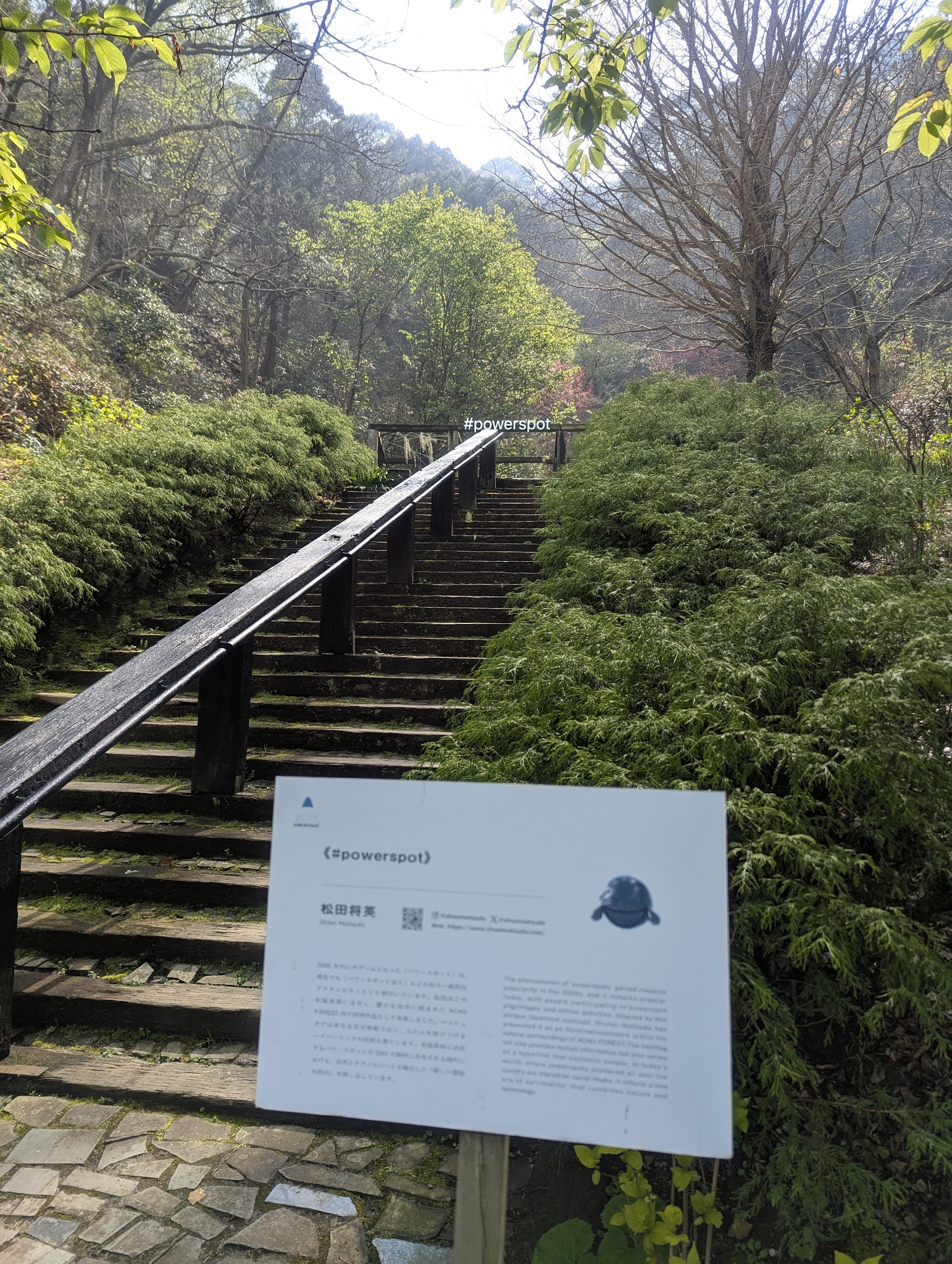 木々に囲まれた庭園の階段