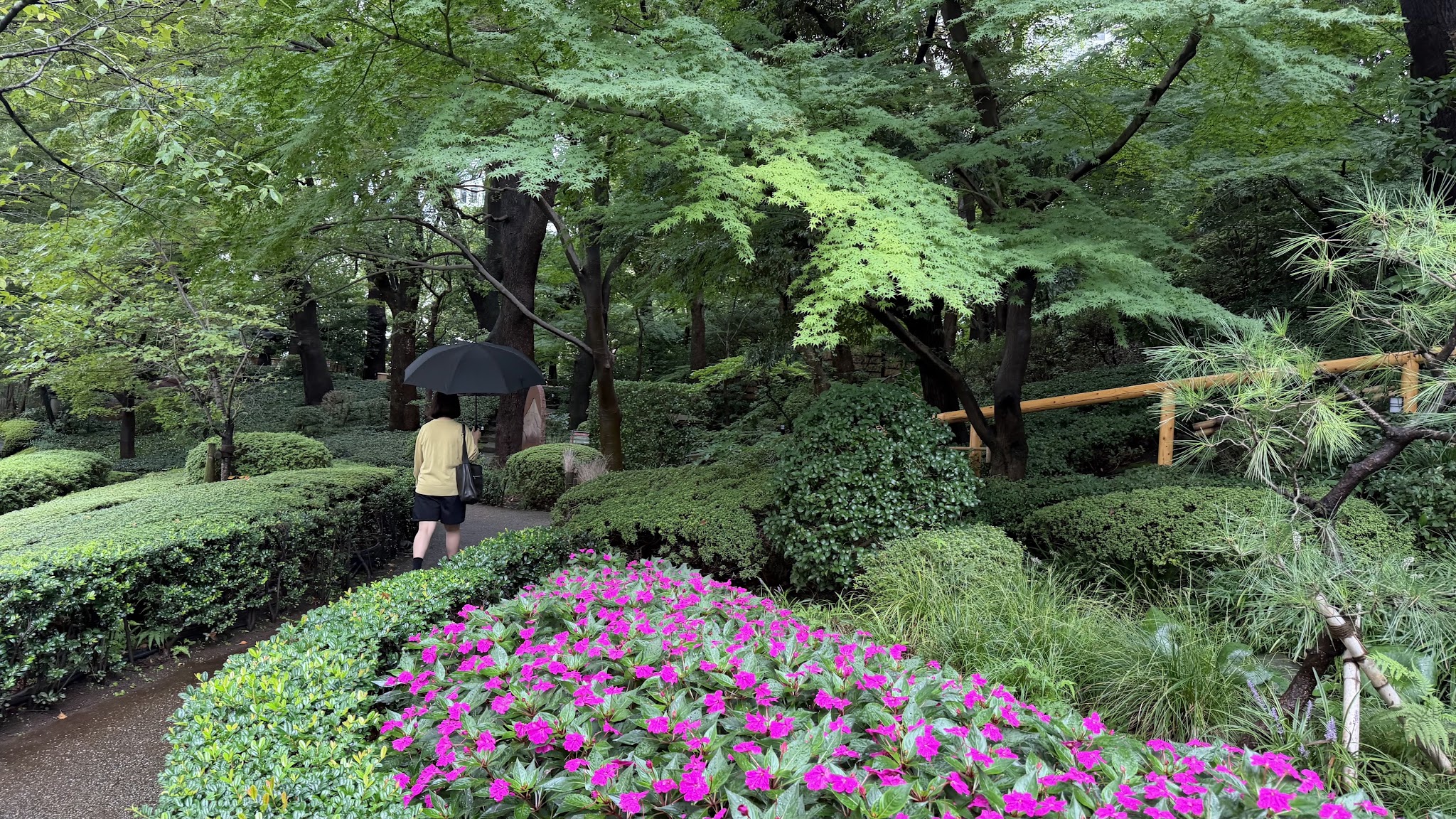花と緑に囲まれた庭園の小道