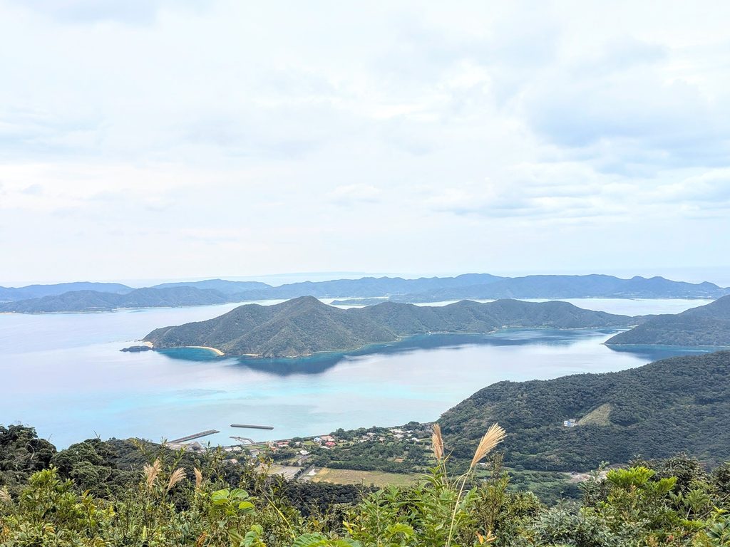 奄美自然観察の森 展望台からの眺め 奄美大島の半島が見えます